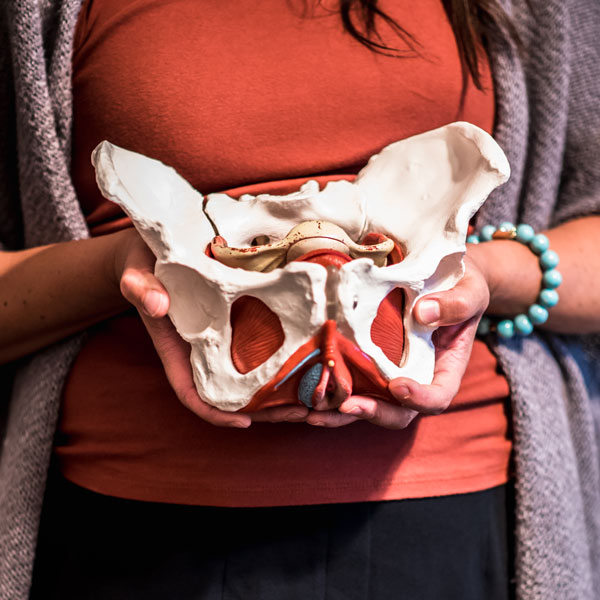 Pelvic Anatomy: Getting To Know Your Pelvis ⋆ Nurturance Health