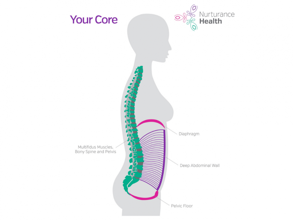 Pelvic Anatomy: Getting To Know Your Pelvis โ Nurturance Health Biology Diagrams