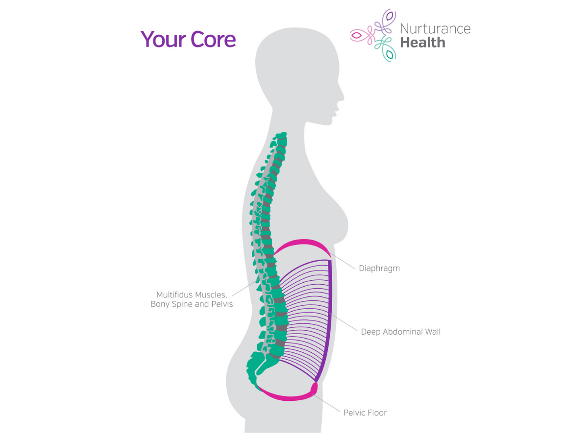 How a Maternity Support Belt can Help Reduce Pregnancy Pain. - Enovis